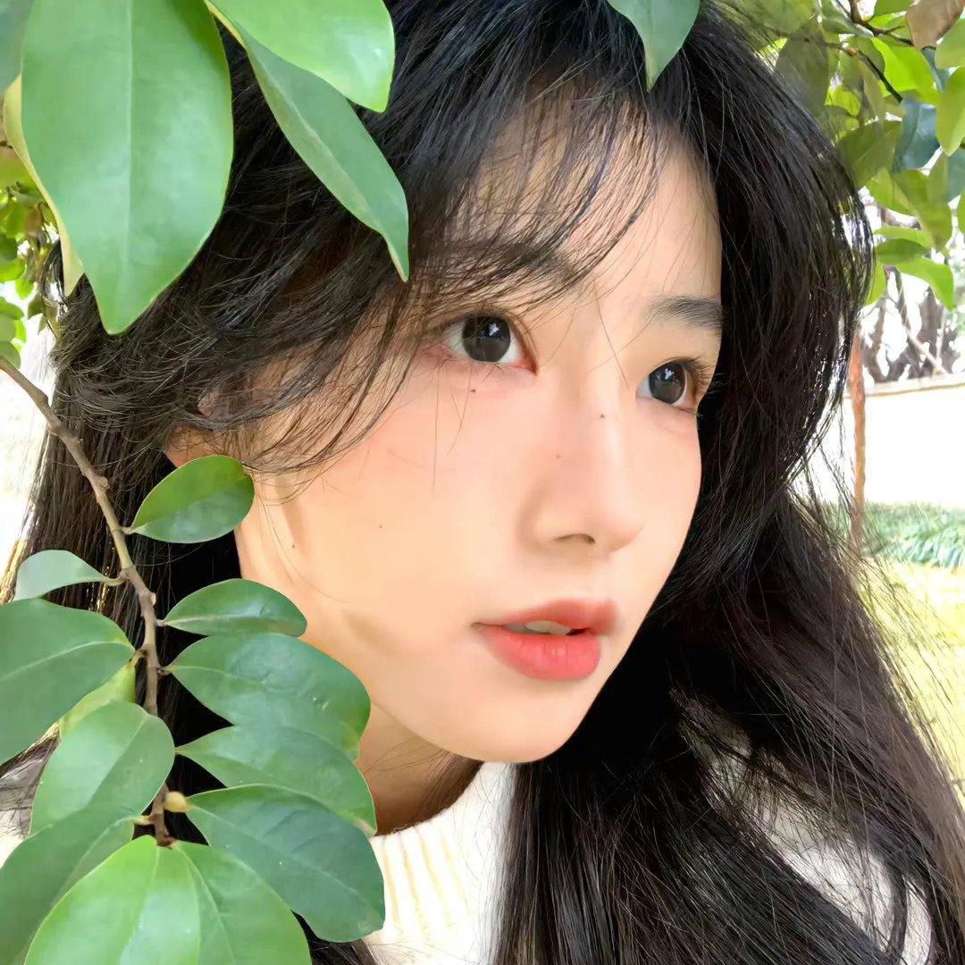 青春本色海报